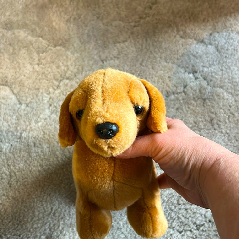 TY Beanie Buddy WEENIE the Dachshund Weiner Dog - Retired. 1999
